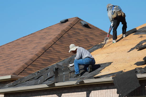 Best Roof Ventilation Installation  in Perryville, MO