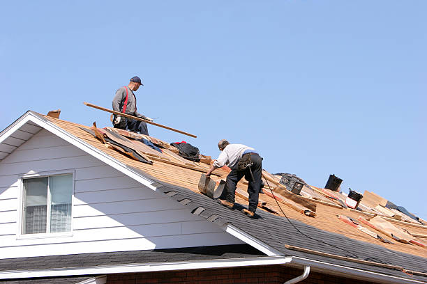 Best Sheet Metal Roofing  in Perryville, MO