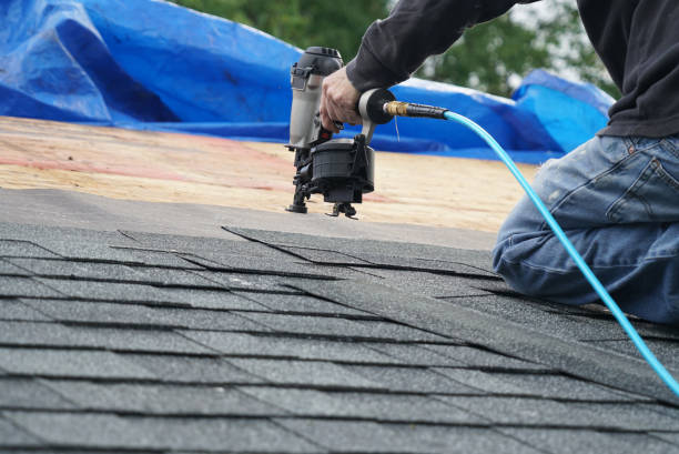 Best Solar Panel Roofing Installation  in Perryville, MO